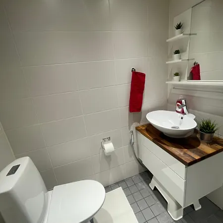 White Christmas Rovaniemi