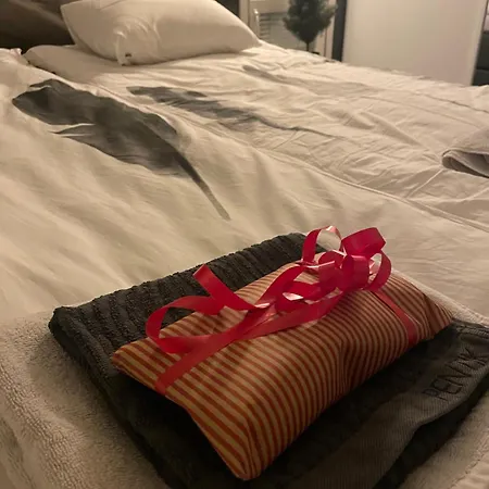 White Christmas 别墅 罗瓦涅米